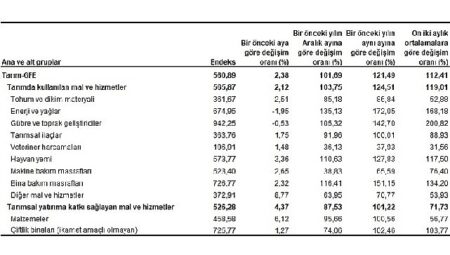 Tarımsal girdi fiyat endeksi (Tarım-GFE) yıllık %121,49, aylık %2,38 arttı