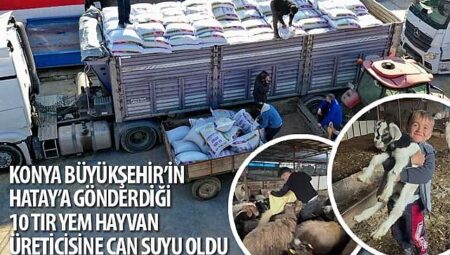 Konya Büyükşehir’in Hatay’a Gönderdiği 10 Tır Yem Hayvan Üreticisine Can Suyu Oldu