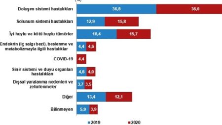Ölüm sayısı 2020 yılında 507 bin 938 oldu
