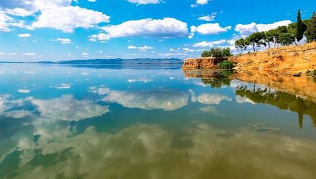 Kuş Cenneti Marmara Gölü Tarım Alanına Dönüştürülüyor!