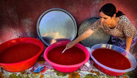 Muğla Büyükşehir Salça Üretim Tesisi Fizibilite Projesi’ne GEKA Desteği