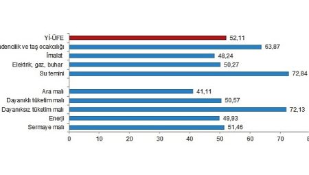 TÜİK: Yurt İçi Üretici Fiyat Endeksi (Yİ-ÜFE) yıllık %52,11, aylık %0,81 arttı
